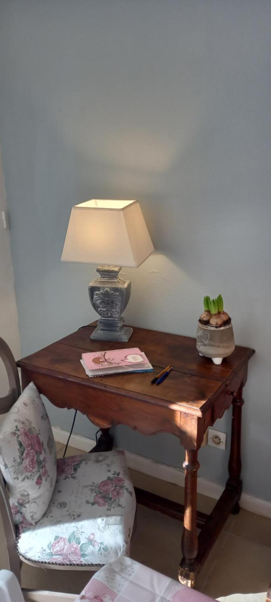 Bed and Breakfast Les Demeures De La Laigne Allas-Bocage Exterior foto